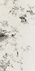 Chiang_Presse_k.jpg