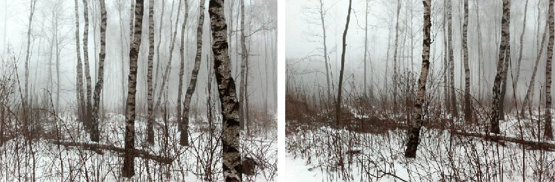2017_AndreasWalther_Unbenannt_2-2013_je28x42cm.jpg