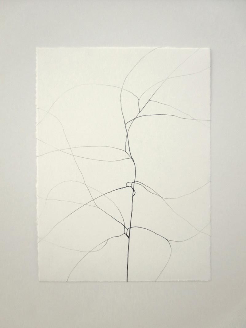 2017_ChristianeLöhr_o.T._Bleistift-auf-Büttenpapier_27x20cm_2014__1.jpg