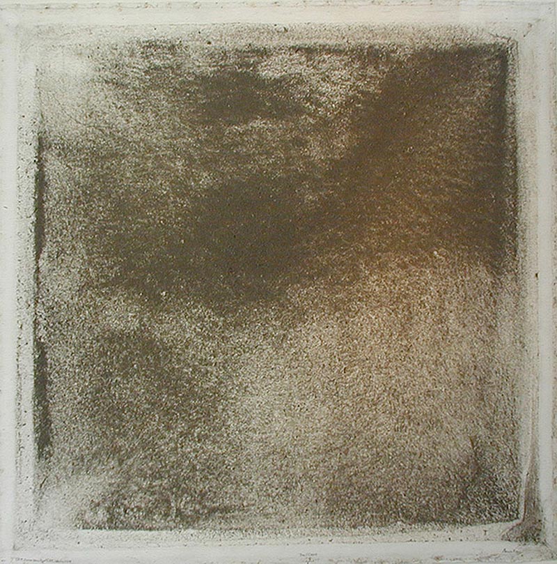 2017_MarioReis_Naturaquarelle_100x100cm.jpg